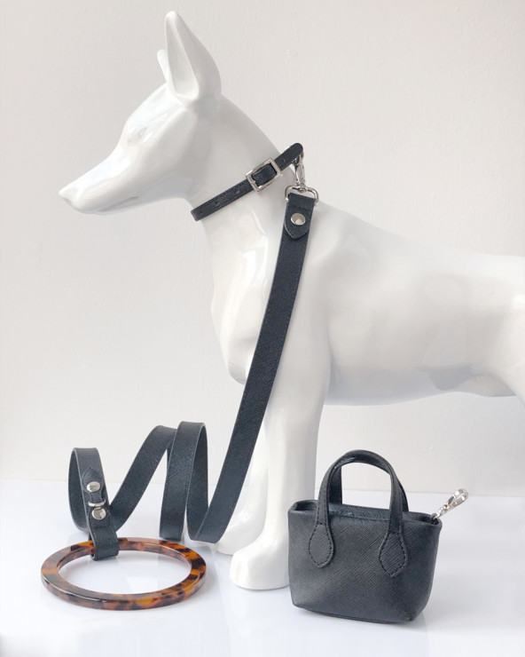 Huicai Adjustable Luxury Dog Harness Set Custom Personalized Pet Leash Set  Dog Harness Collar and Leash - China Dog Leash and Pet Toy price