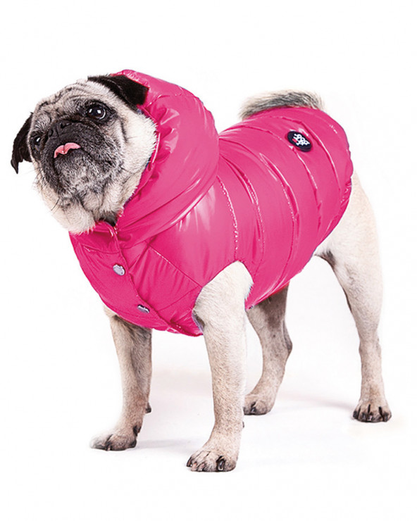 Lightweight Down Jacket for Dogs