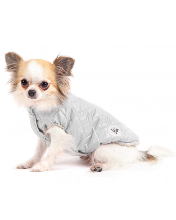 Jacket for Dogs - Free Shipping